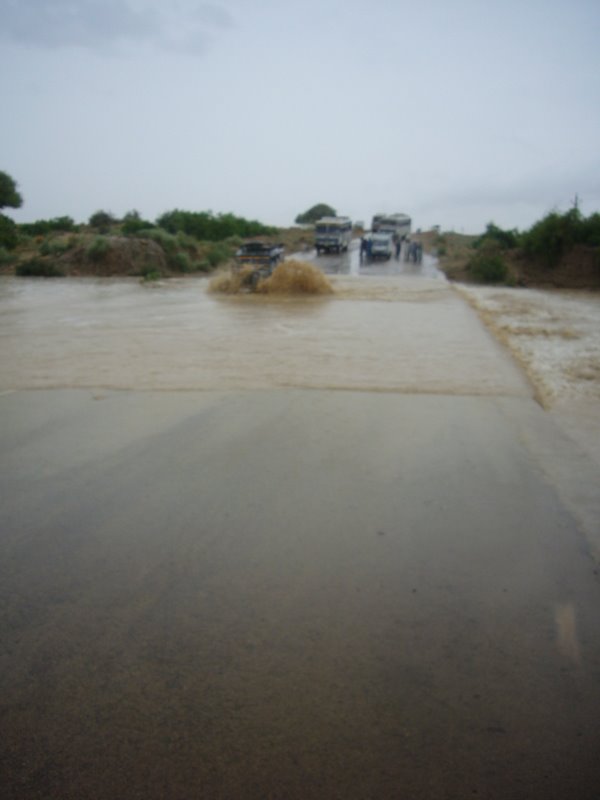 Travel - India - Rajasthan - Desert Camel Trip - Desert Rain